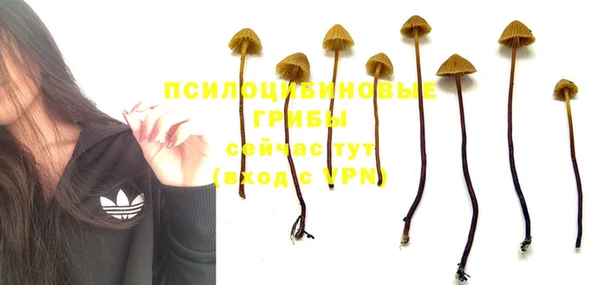 гашиш Волосово