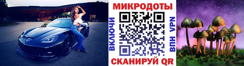 kraken ссылки  мориарти клад  Галлюциногенные грибы мицелий  наркошоп  Канск 